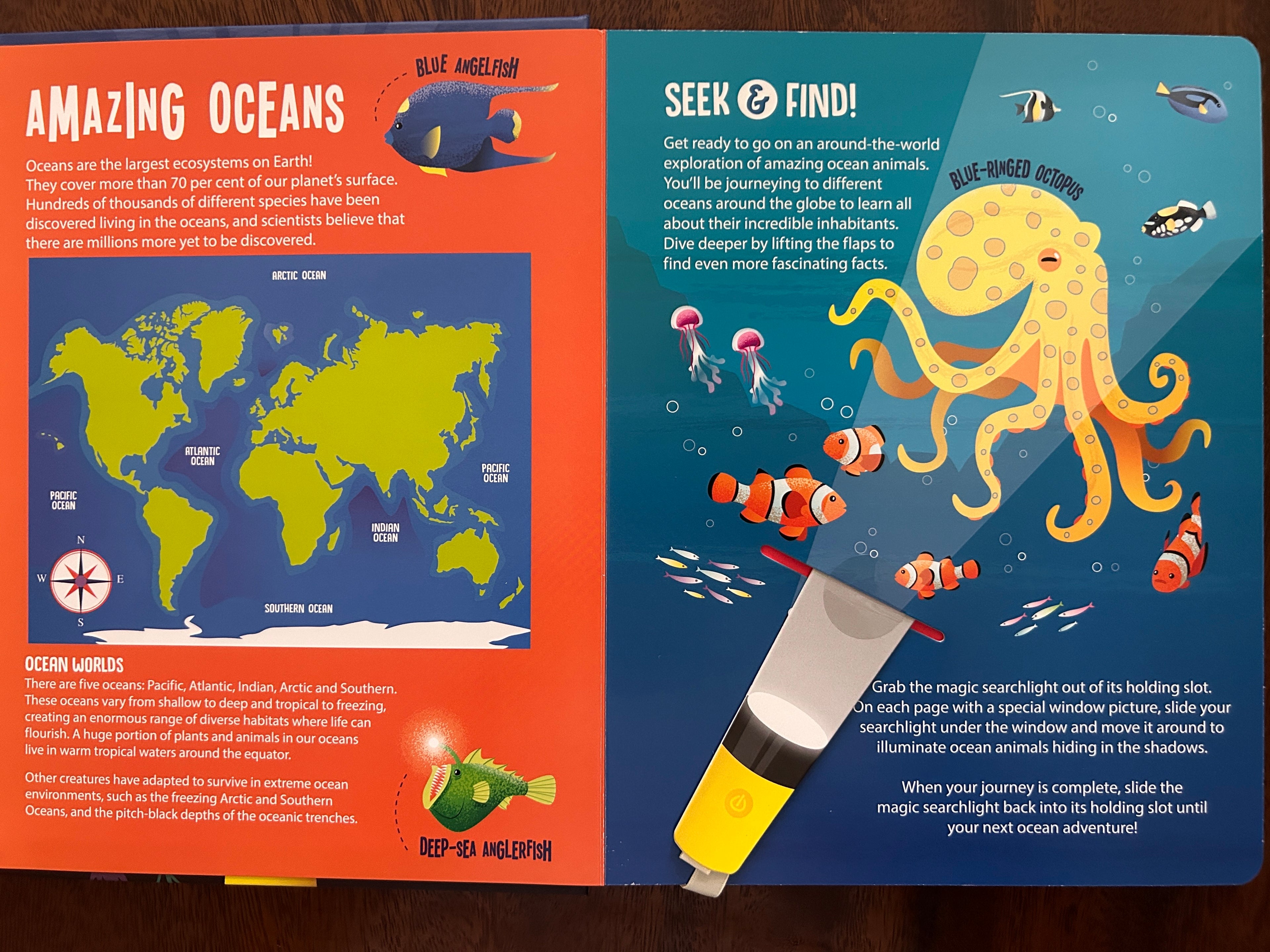 Ocean Animals (Magic Searchlight)