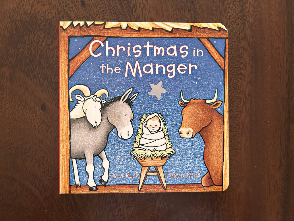 Christmas in the manger