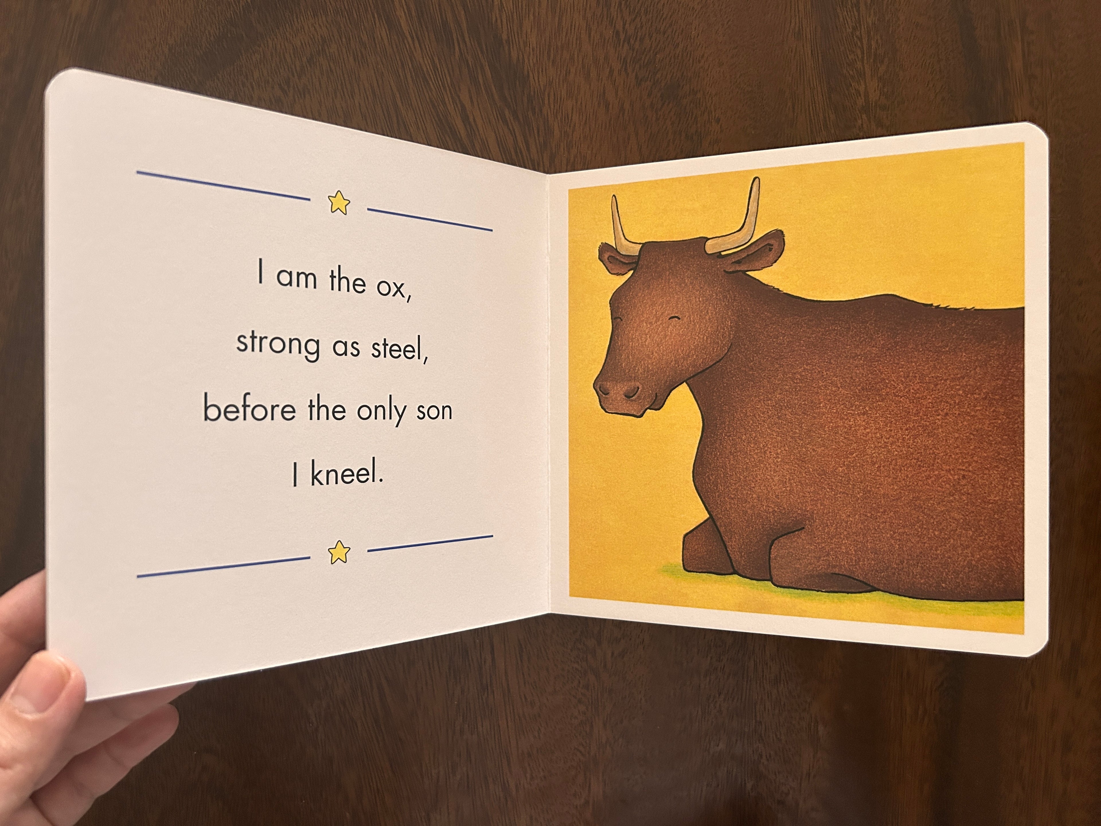 Christmas in the manger