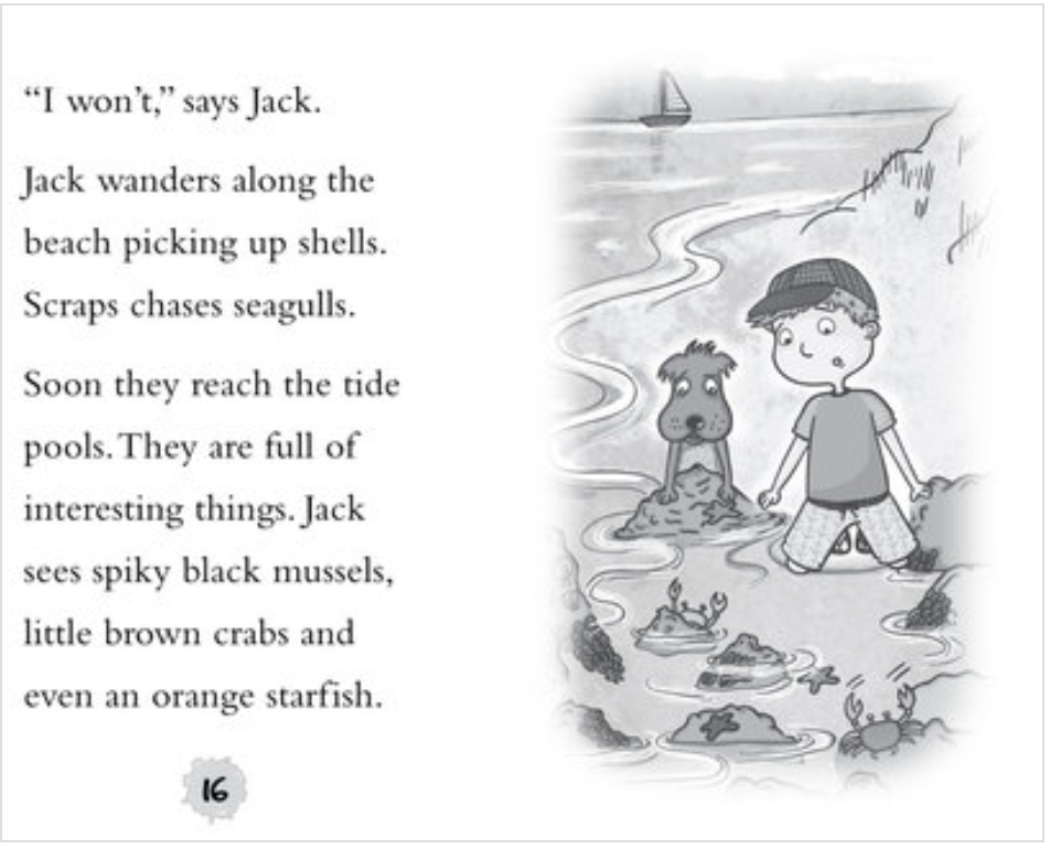 Hey Jack!: The Big Adventure
