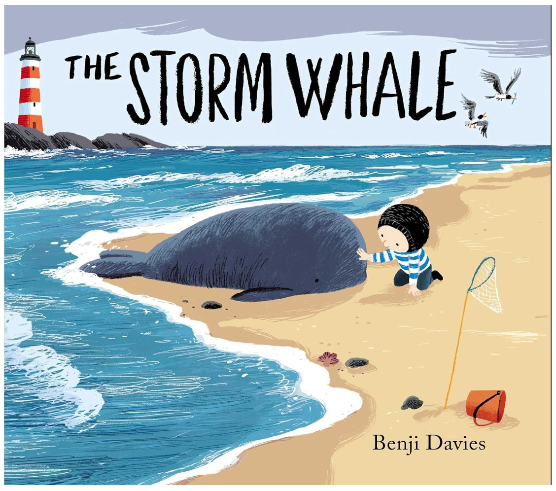 Storm Whale