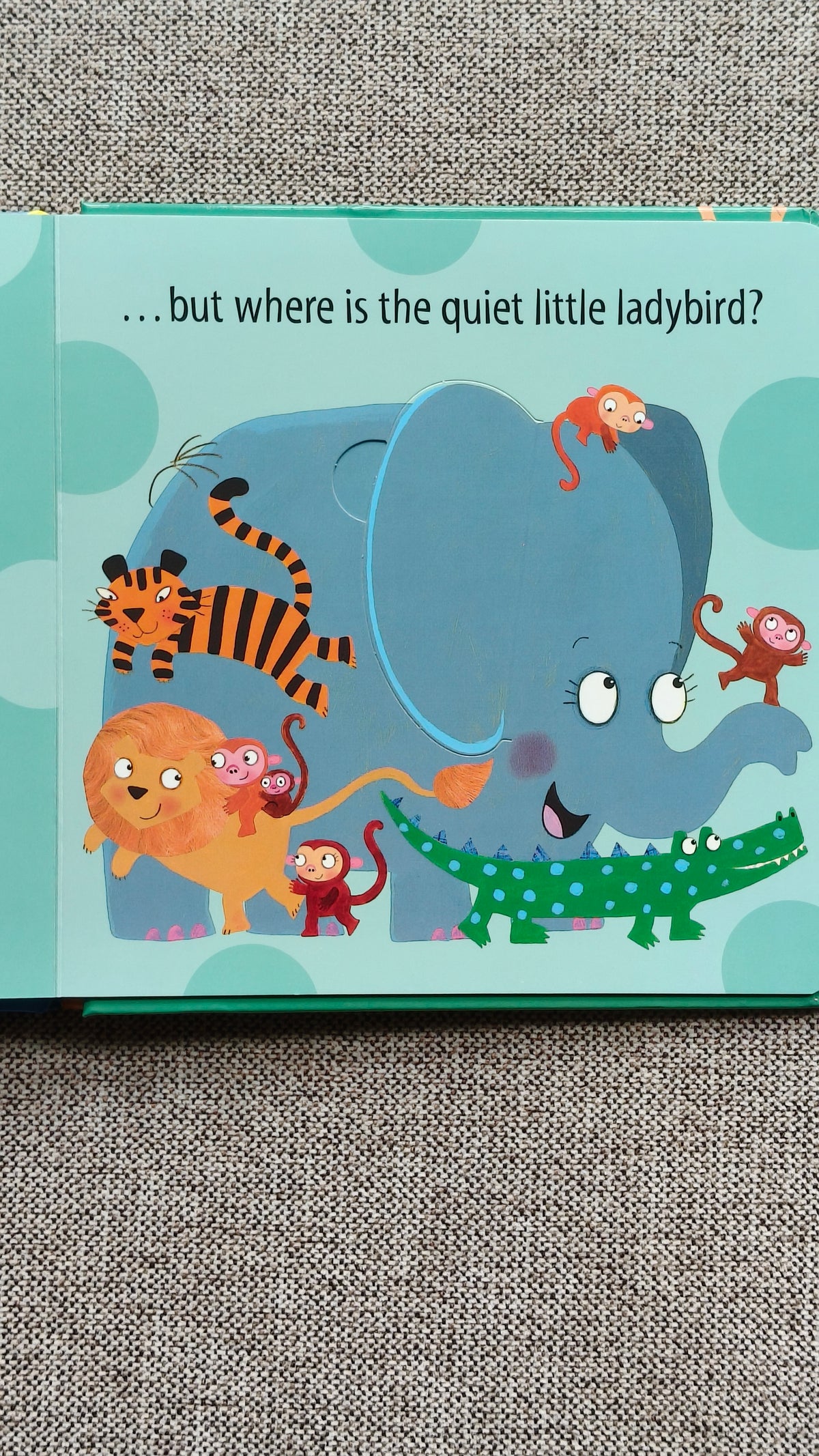 Who's at the Zoo? A What the Ladybird Heard Lift-the-flap book