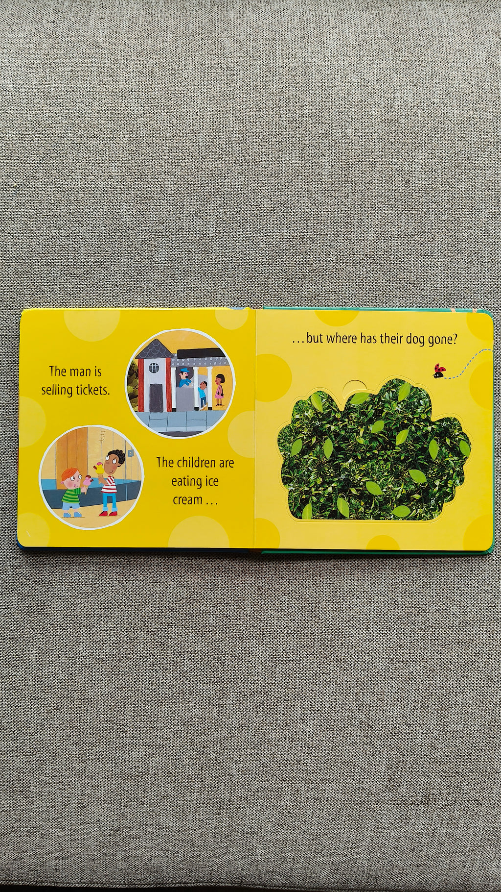 Who's at the Zoo? A What the Ladybird Heard Lift-the-flap book