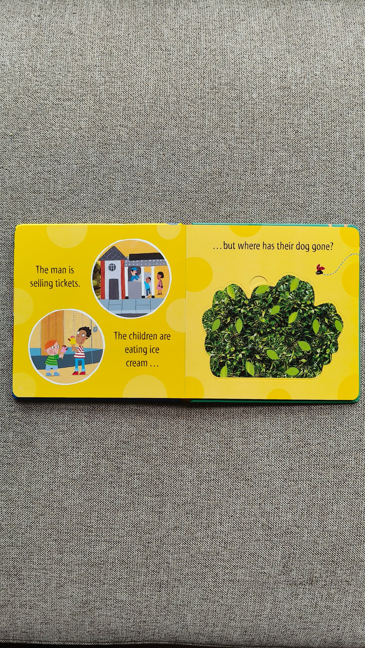 Who's at the Zoo? A What the Ladybird Heard Lift-the-flap book