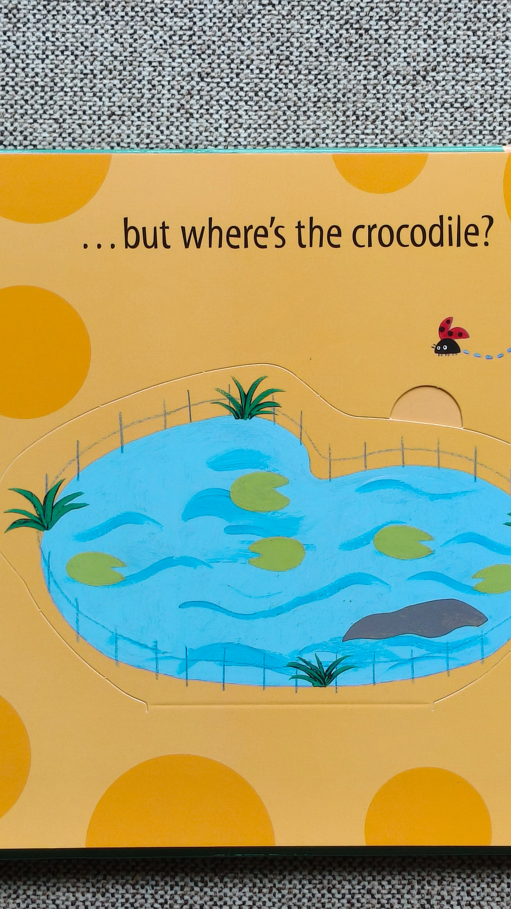 Who's at the Zoo? A What the Ladybird Heard Lift-the-flap book