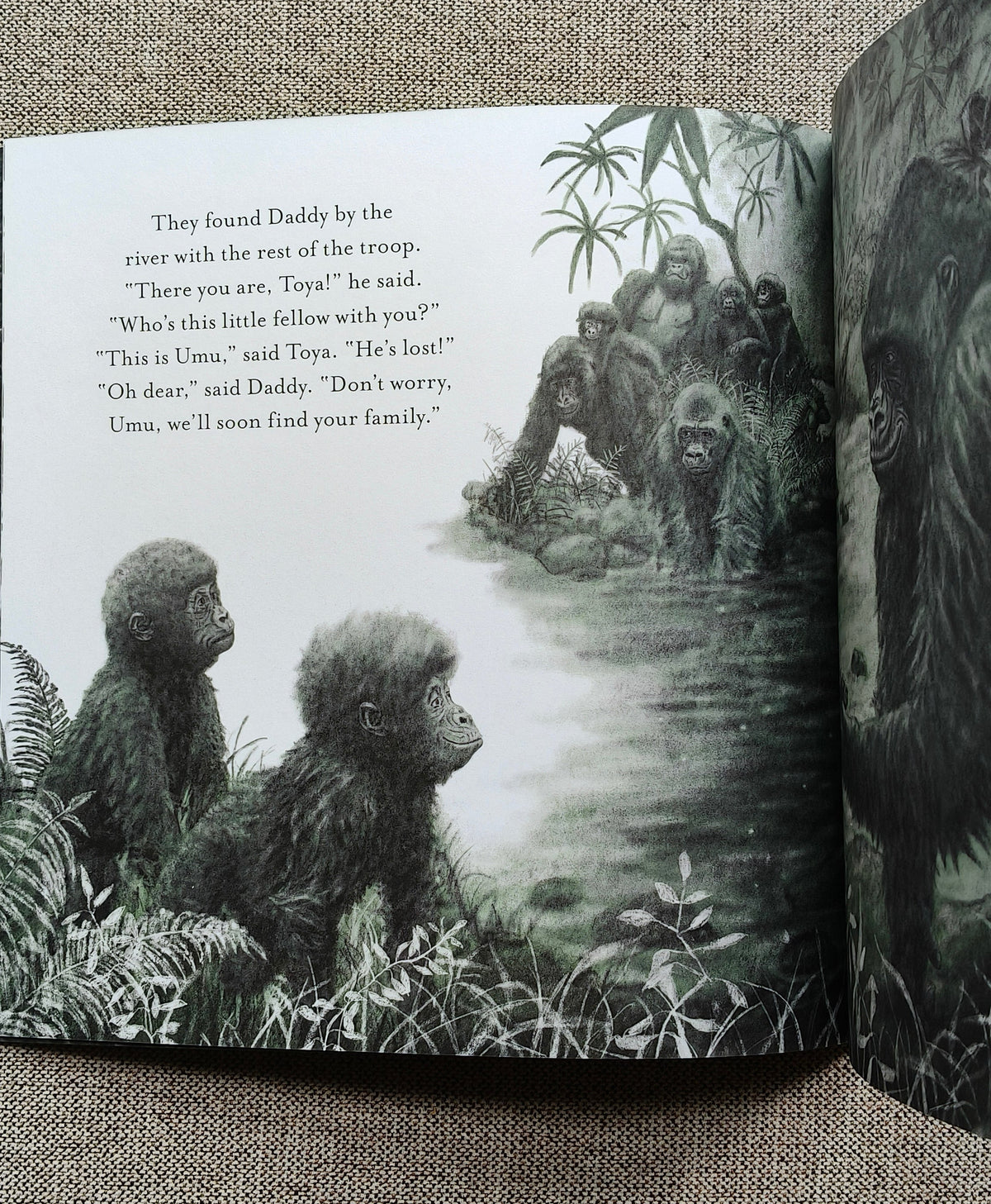 Two Little Gorillas